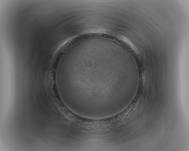 X0000113371064200909151355
