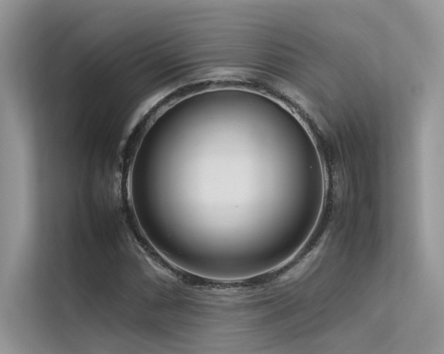 X0000113371066200909151355
