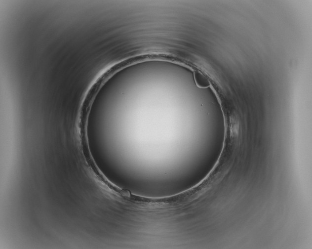 X0000113371068200909151355