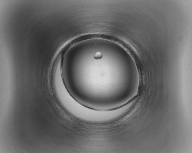 X0000113371069200909151355