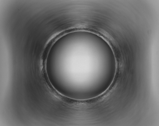 X0000113371070200909151355