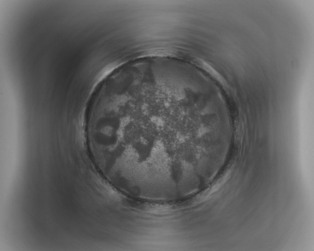X0000113371071200909151355