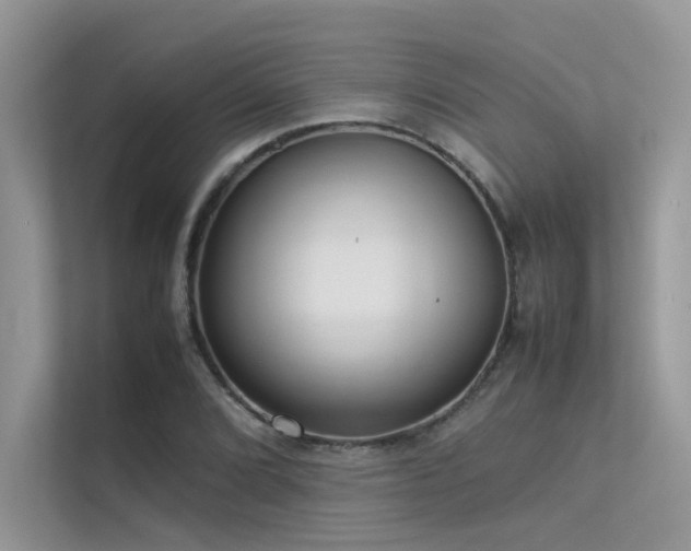 X0000113371072200909151355