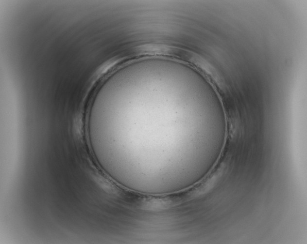 X0000113371074200909151355