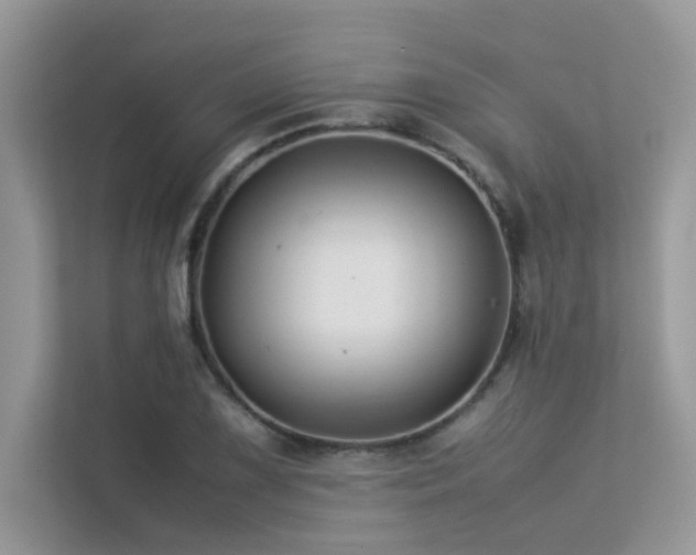 X0000113371075200909151355