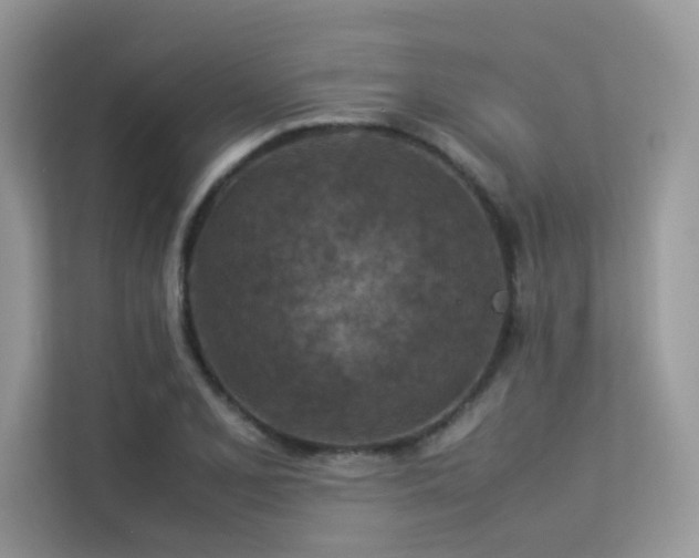 X0000113371077200909151355