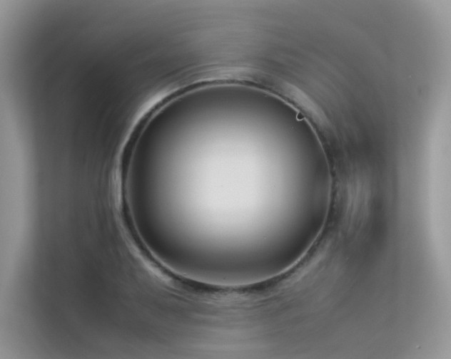 X0000113371079200909151355