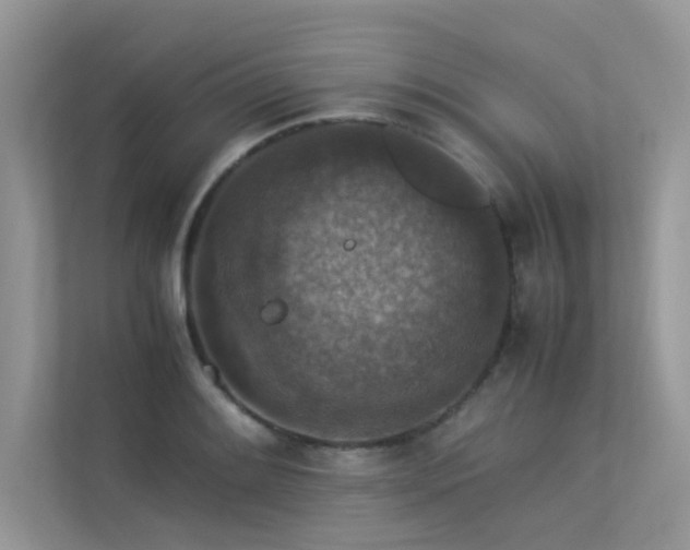 X0000113371084200909151355