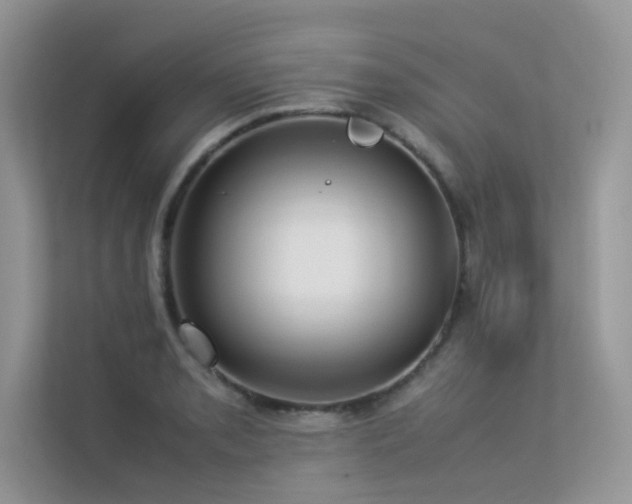 X0000113371085200909151355
