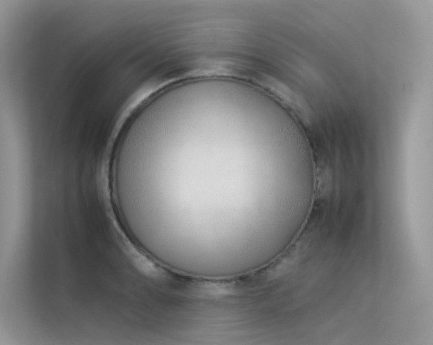 X0000113371086200909151355