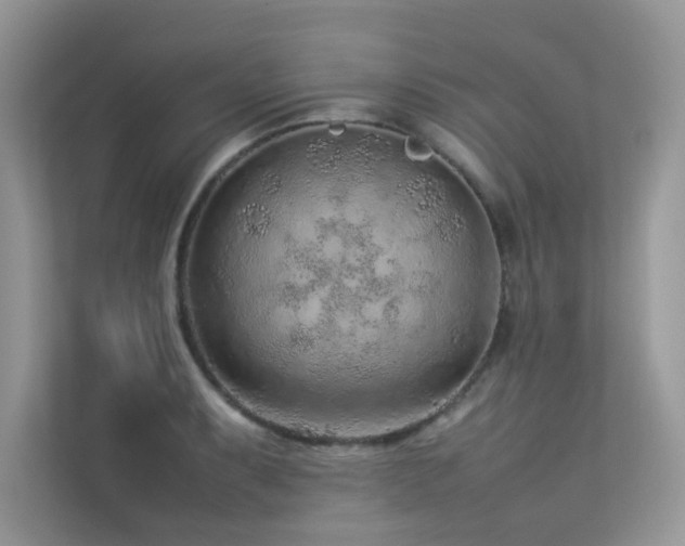 X0000113371087200909151355