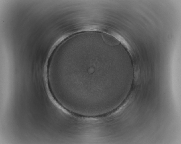X0000113371088200909151355