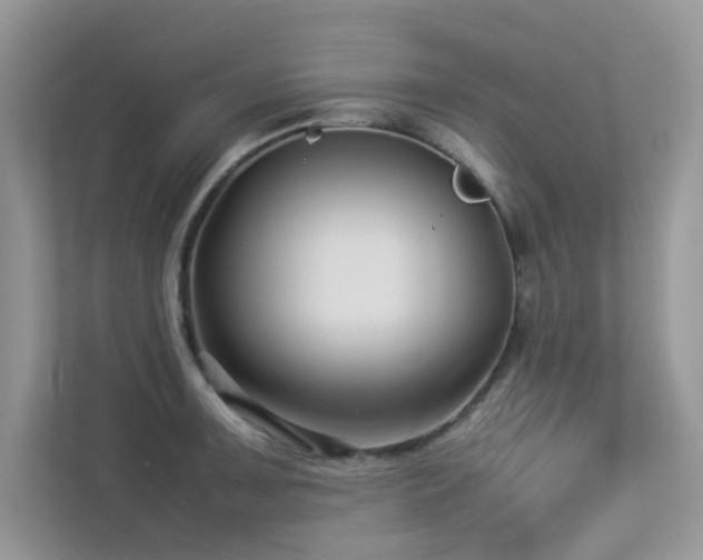 X0000113371091200909151354