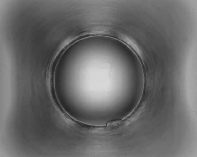X0000113371093200909151354