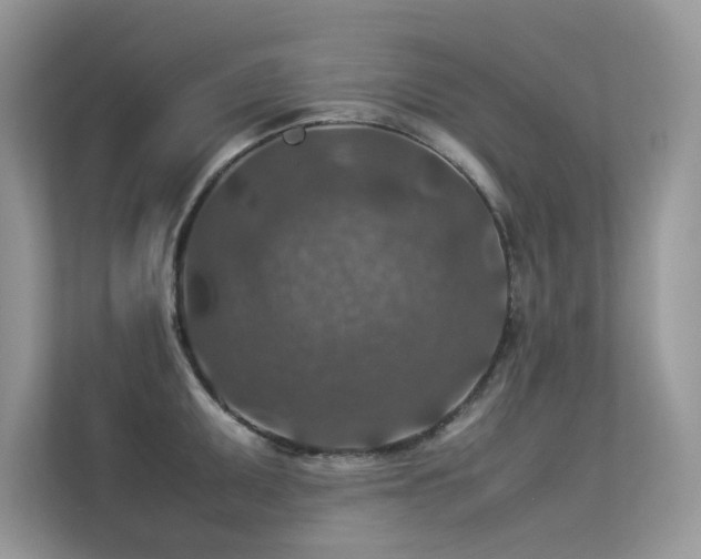 X0000113371095200909151354