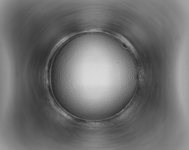 X0000113371096200909151354