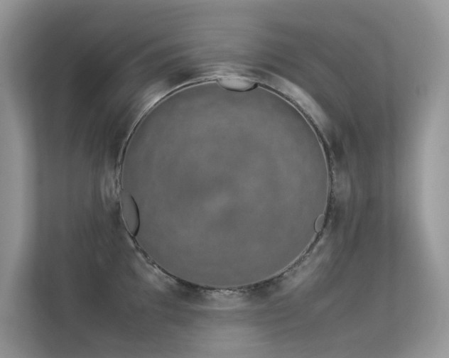 X0000113371097200909151354