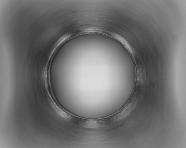 X0000113371098200909151354