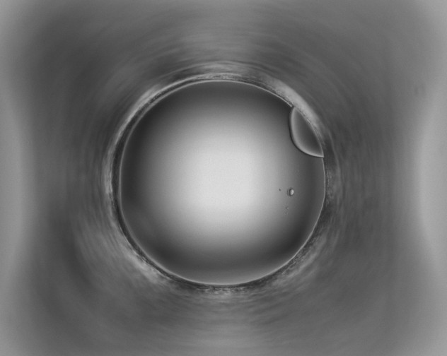 X0000113371099200909151354