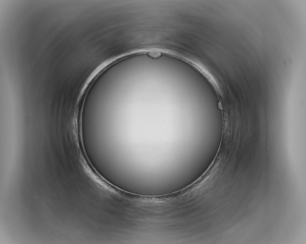 X0000113371100200909151354
