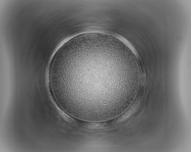 X0000113371101200909151354