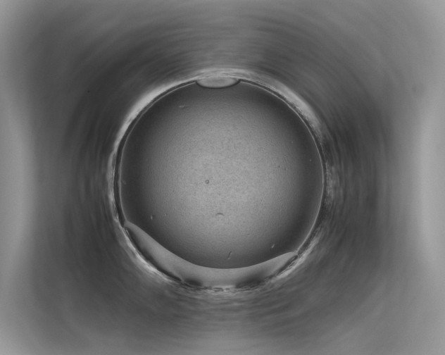 X0000113371102200909151354
