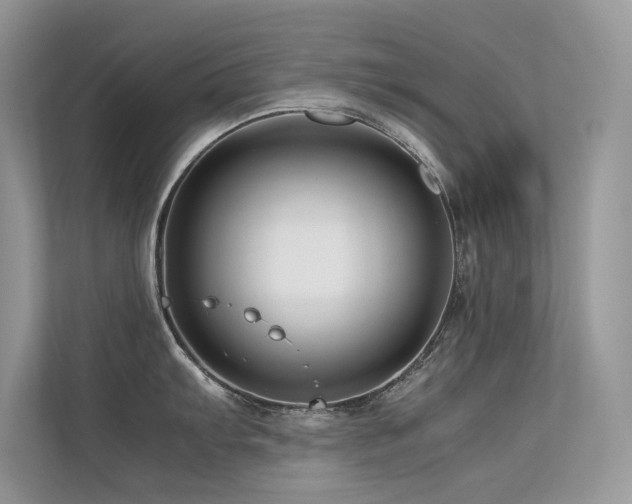 X0000113371103200909151354