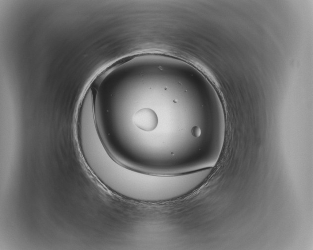 X0000113371104200909151354