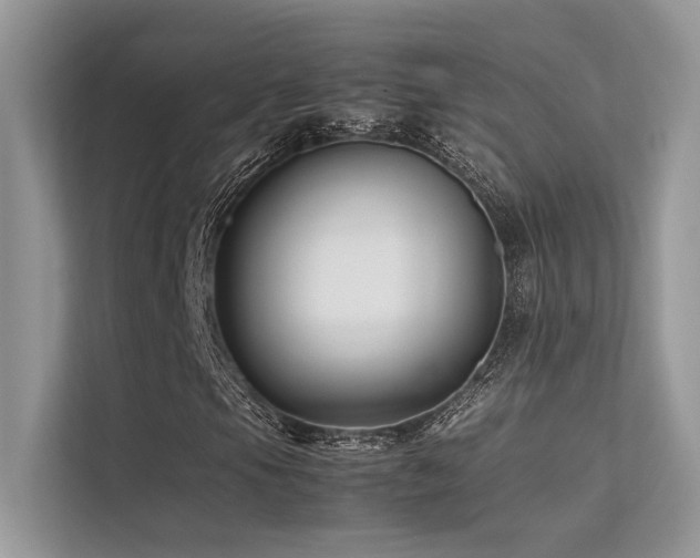 X0000113371105200909151354