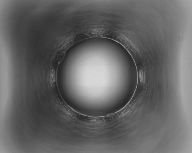 X0000113371107200909151354