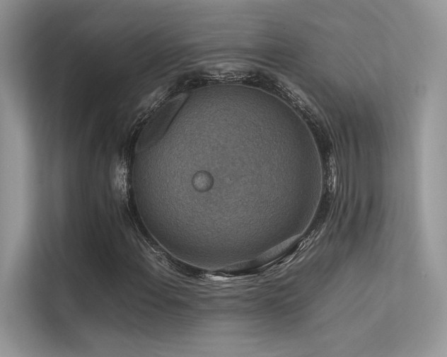 X0000113371108200909151354