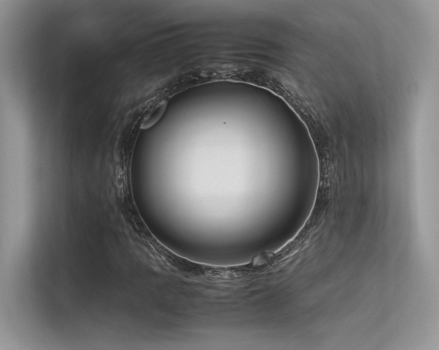 X0000113371109200909151354
