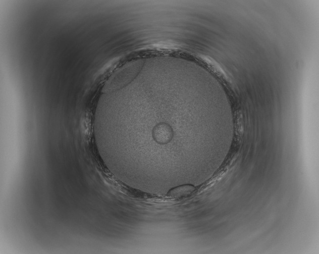 X0000113371110200909151354