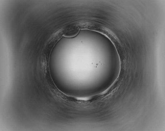 X0000113371111200909151354