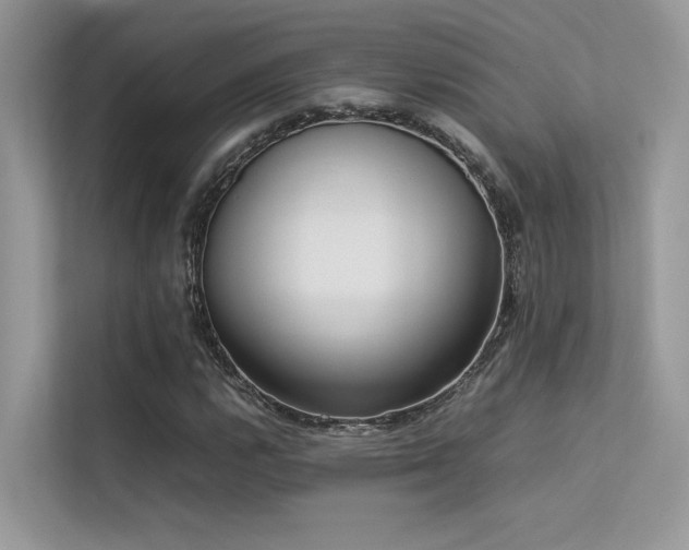 X0000113371112200909151354