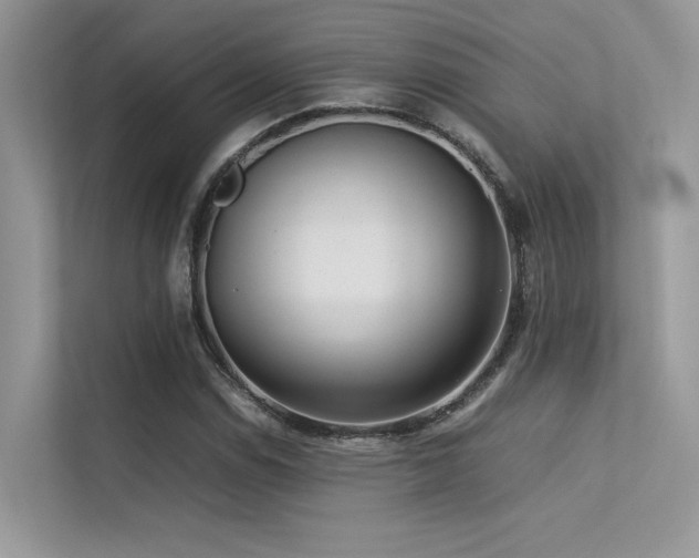X0000113371114200909151354