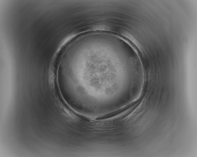 X0000113371115200909151354