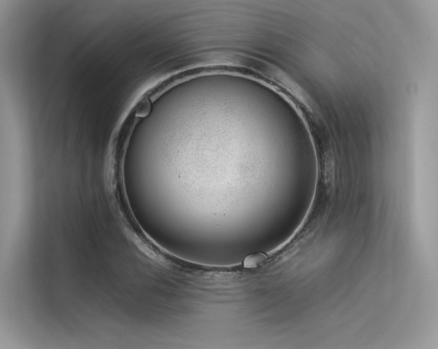 X0000113371116200909151354