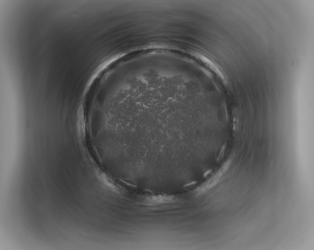 X0000113371117200909151354