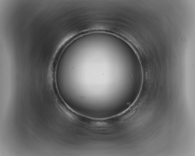 X0000113371119200909151354