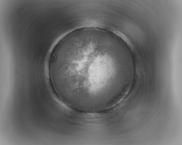 X0000113371120200909151354