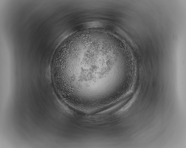 X0000113371121200909151354