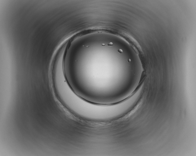 X0000113371122200909151354