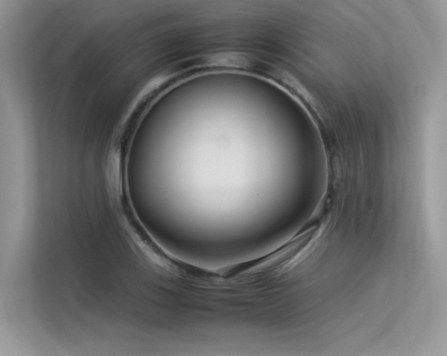X0000113371123200909151354