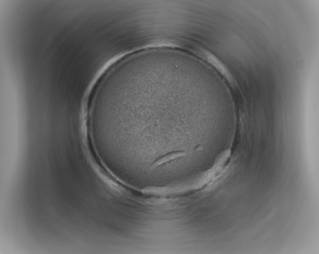 X0000113371124200909151354