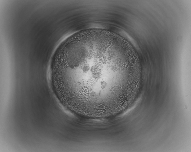 X0000113371125200909151354
