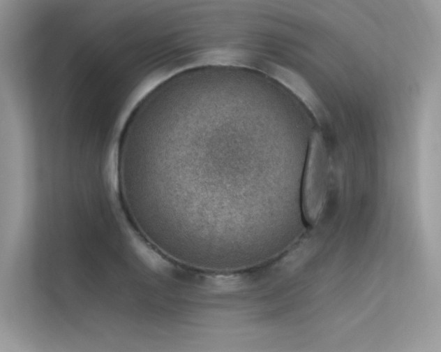 X0000113371128200909151354