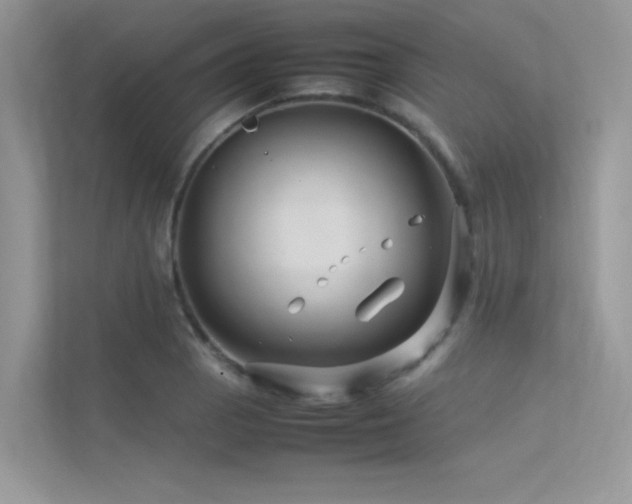 X0000113371129200909151354