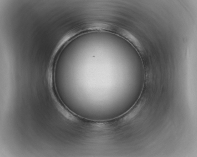 X0000113371130200909151354