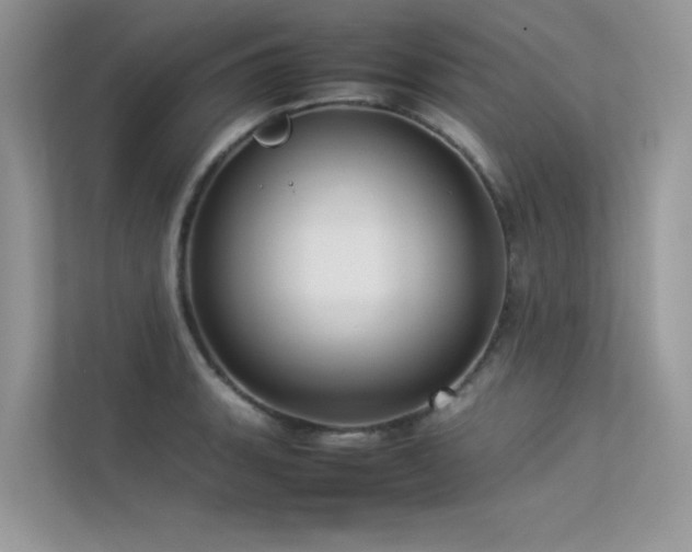X0000113371135200909151354